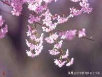 泉州信一企业管理咨询有限公司