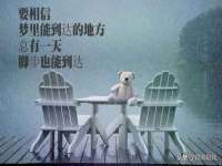 泉州信一企业管理咨询有限公司