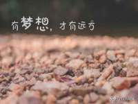 泉州信一企业管理咨询有限公司