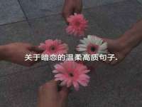 泉州信一企业管理咨询有限公司