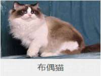 泉州信一企业管理咨询有限公司