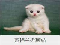 泉州信一企业管理咨询有限公司