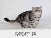 泉州信一企业管理咨询有限公司
