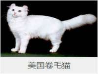 泉州信一企业管理咨询有限公司