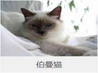 泉州信一企业管理咨询有限公司