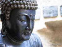 泉州信一企业管理咨询有限公司