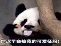 泉州信一企业管理咨询有限公司