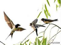 泉州信一企业管理咨询有限公司
