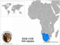 泉州信一企业管理咨询有限公司