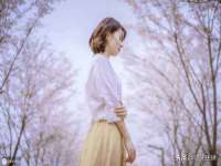 泉州信一企业管理咨询有限公司