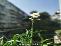泉州信一企业管理咨询有限公司