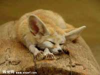 泉州信一企业管理咨询有限公司