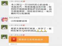 泉州信一企业管理咨询有限公司