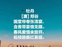 泉州信一企业管理咨询有限公司
