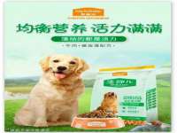 泉州信一企业管理咨询有限公司