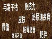 泉州信一企业管理咨询有限公司