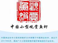 泉州信一企业管理咨询有限公司