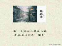泉州信一企业管理咨询有限公司