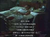 泉州信一企业管理咨询有限公司