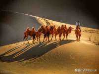 泉州信一企业管理咨询有限公司