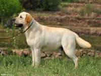泉州信一企业管理咨询有限公司