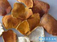 泉州信一企业管理咨询有限公司