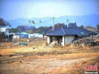 泉州信一企业管理咨询有限公司