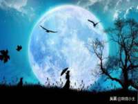 泉州信一企业管理咨询有限公司