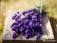 泉州信一企业管理咨询有限公司