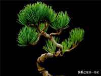 泉州信一企业管理咨询有限公司