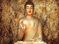 泉州信一企业管理咨询有限公司